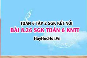Bài 8.26 SGK Toán 6 tập 2 Kết nối tri thức